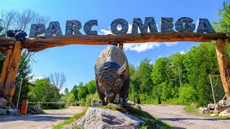 omega parc prices|parc omega quebec reservations.